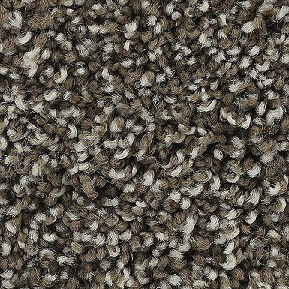 Textured Saxony Truffle Brown Carpet