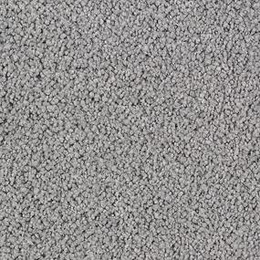 Cut Pile Carved Stone Gray Carpet