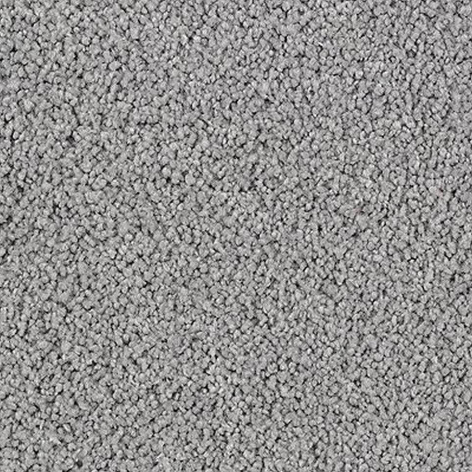 Cut Pile Carved Stone Gray Carpet