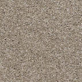 Textured Saxony Garden Wall Beige/Tan Carpet