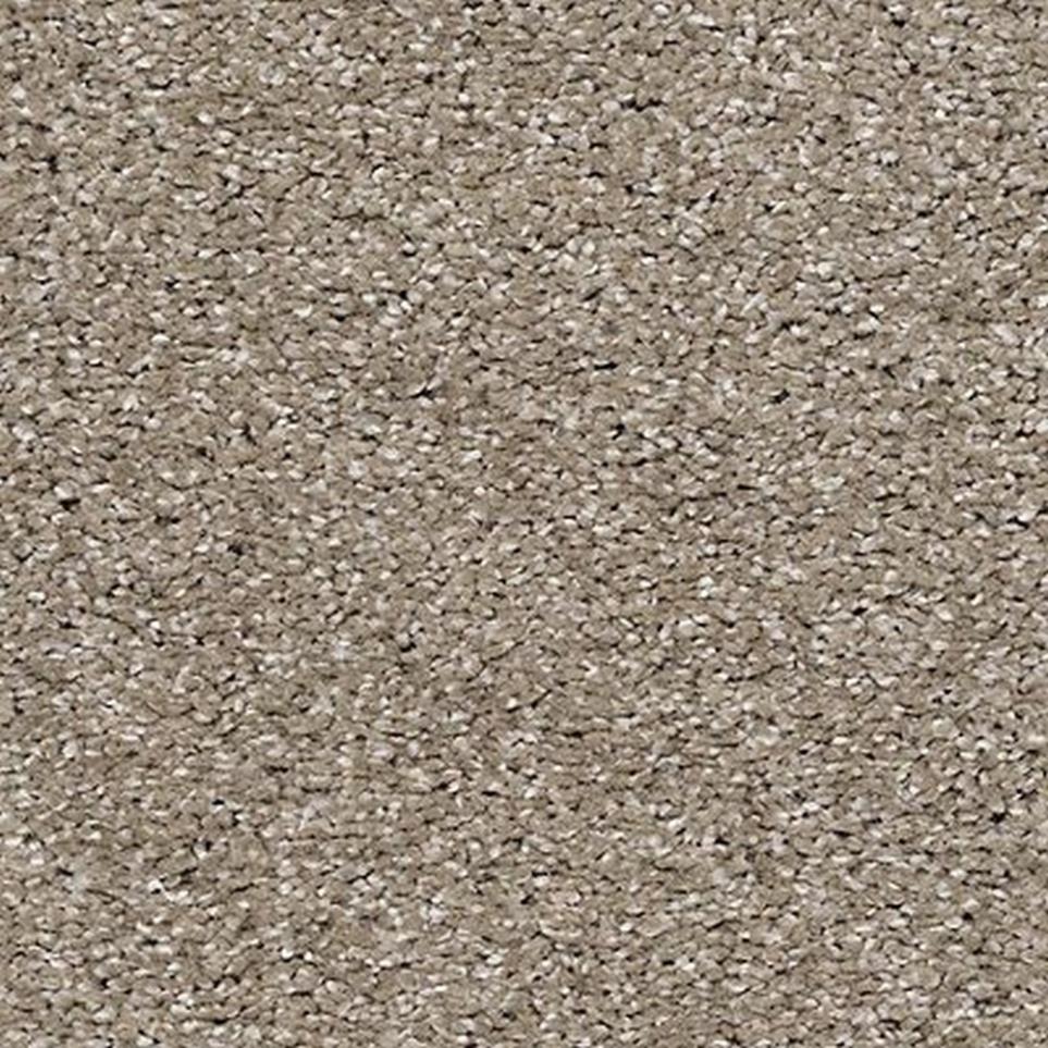 Textured Saxony Garden Wall Beige/Tan Carpet