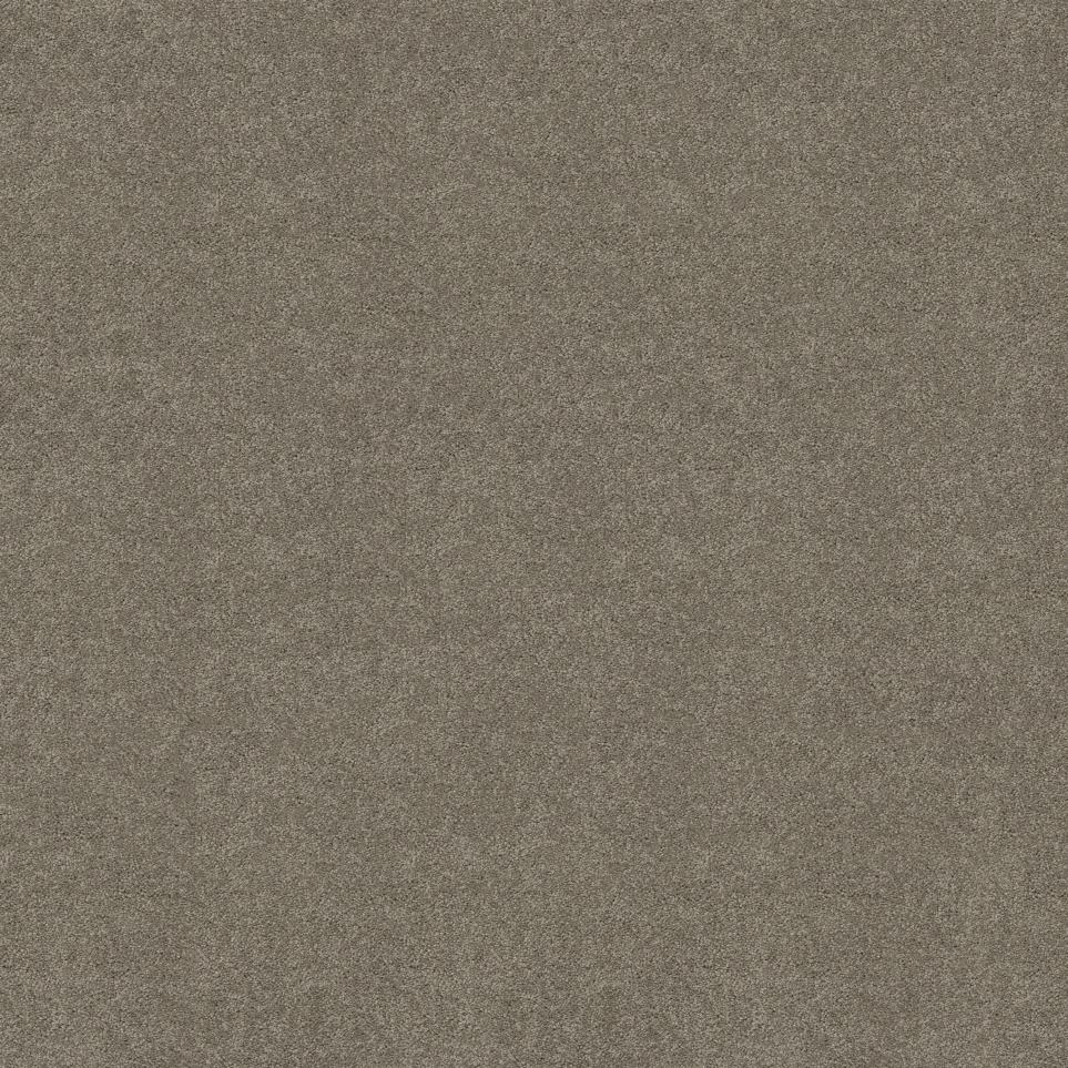 Texture Fossil  Carpet