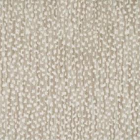 Loop Canyon Beige/Tan Carpet