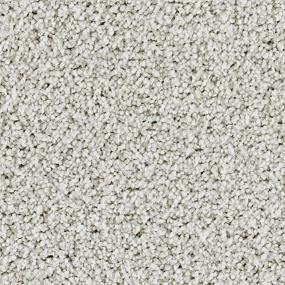 Textured Saxony Morning Mist Gray Carpet
