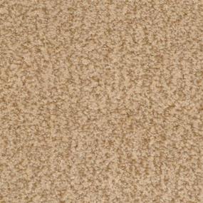 Casual Texture Clydesdale Beige/Tan Carpet
