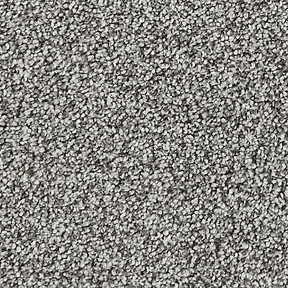 Textured Saxony Twilight Gray Carpet