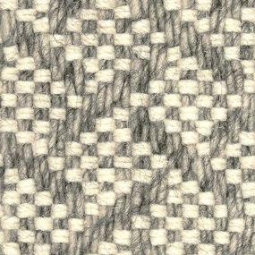 Woven Dark Cloud Gray Carpet