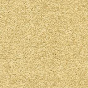 Casual Texture Bronze Yellow Carpet