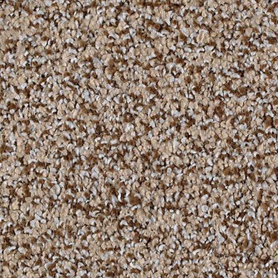 Textured Saxony Bliss Beige/Tan Carpet