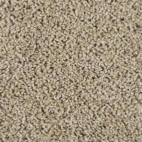 Textured Saxony Brushed Fur Beige/Tan Carpet