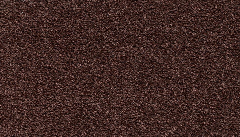 Textured Saxony DIRT ROAD Brown Carpet