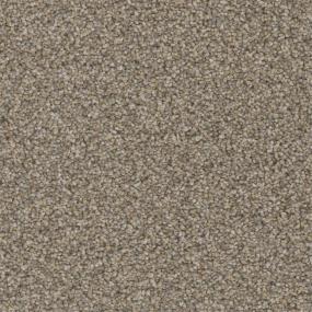 Textured Saxony Tower Brown Carpet