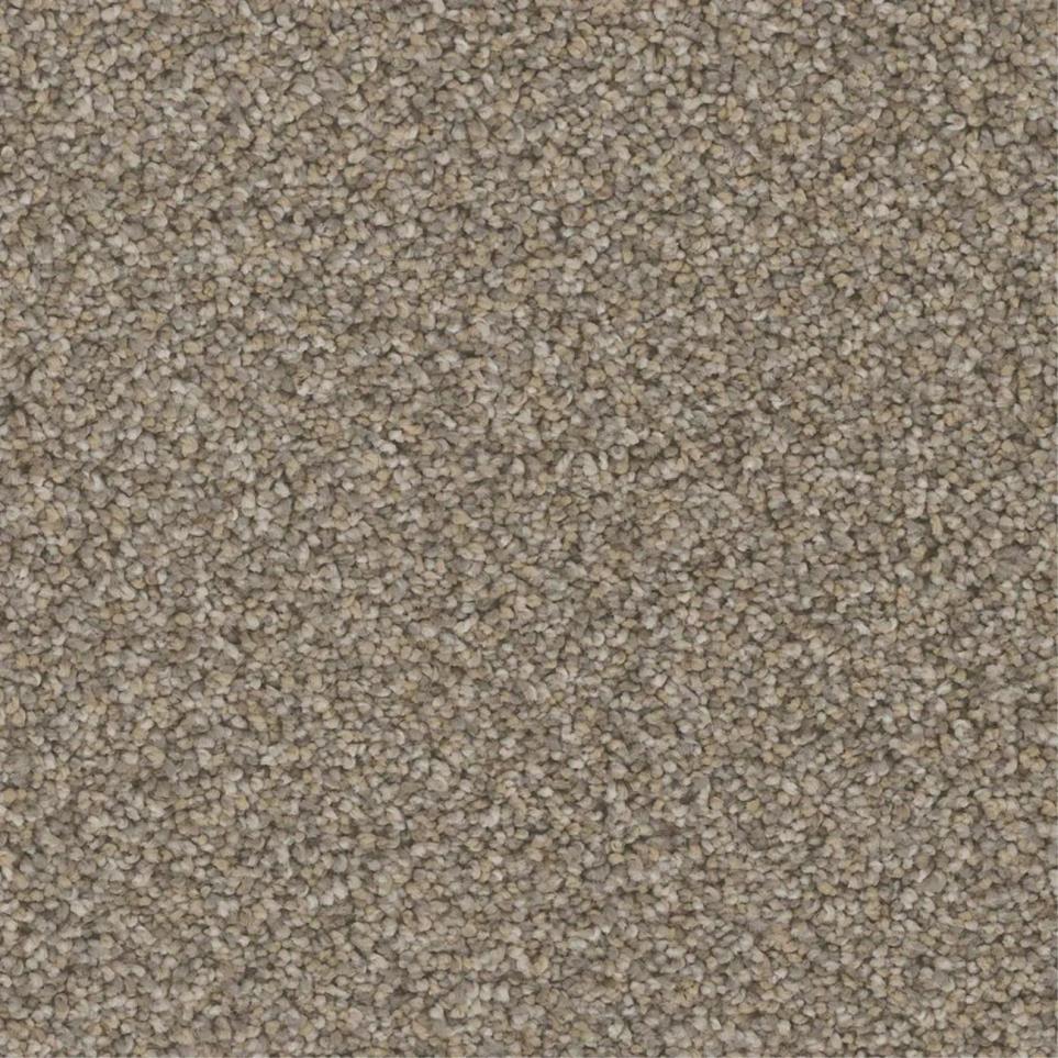 Textured Saxony Tower Brown Carpet