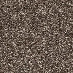 Textured Saxony Lively Brown Carpet