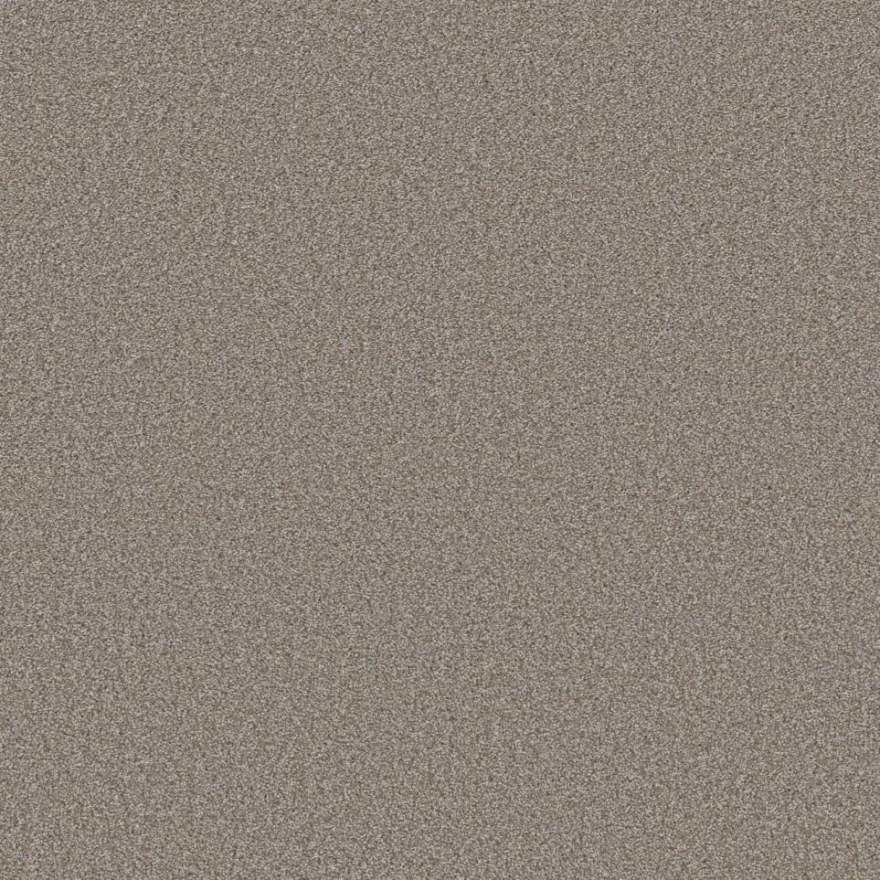 Textured Saxony Sable Gray Carpet