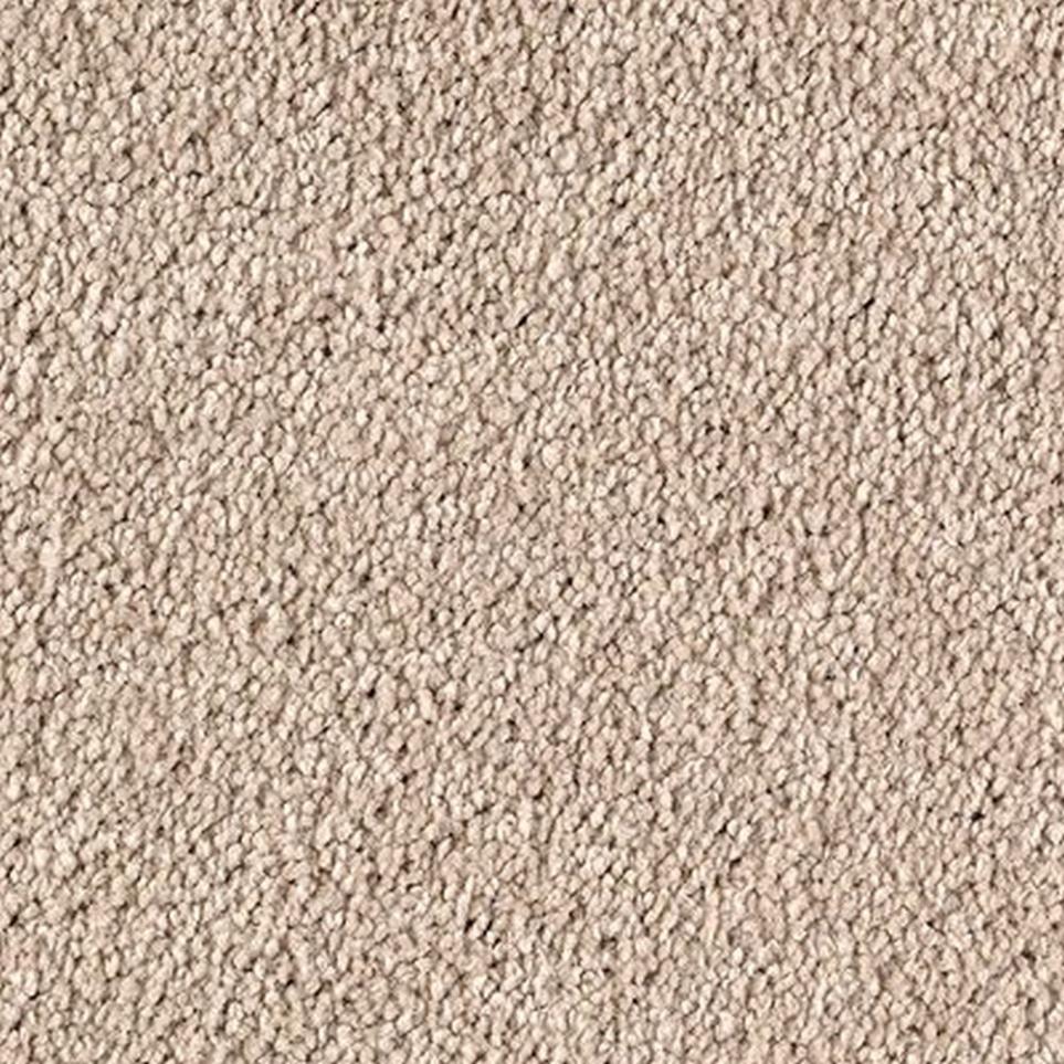 Textured Saxony Sedona Beige/Tan Carpet