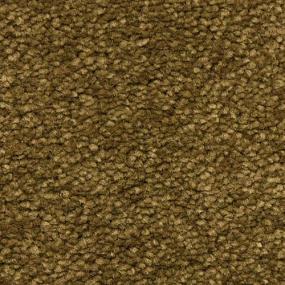 Frieze Bisonte Brown Carpet