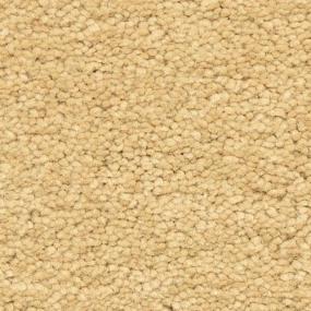 Frieze Dorado Beige/Tan Carpet
