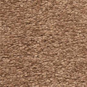 Frieze Madera Beige/Tan Carpet