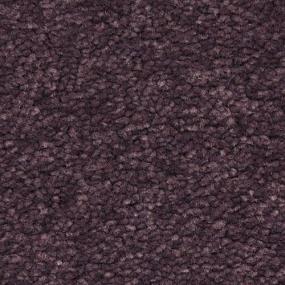 Frieze Morado Purple Carpet