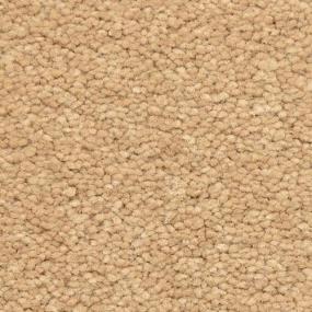 Frieze Neutro Beige/Tan Carpet