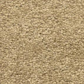 Frieze Nuez Beige/Tan Carpet