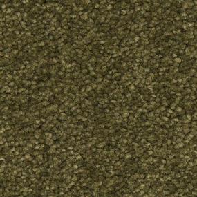 Frieze Verde Oliva Green Carpet