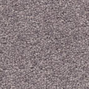 Frieze Violeta Gray Carpet