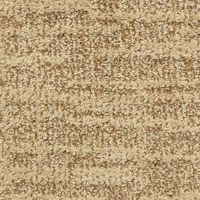 Pattern Enduring Beige/Tan Carpet