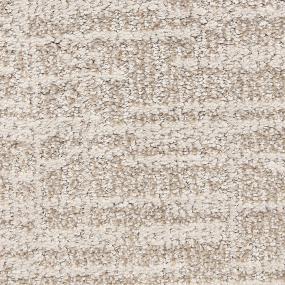 Pattern Tarnished Beige/Tan Carpet