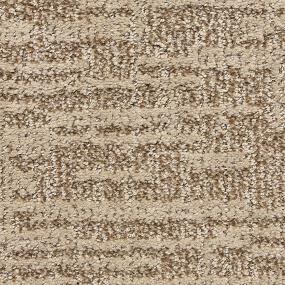 Pattern Sandbark Brown Carpet