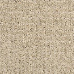 Pattern Sandstone Beige/Tan Carpet