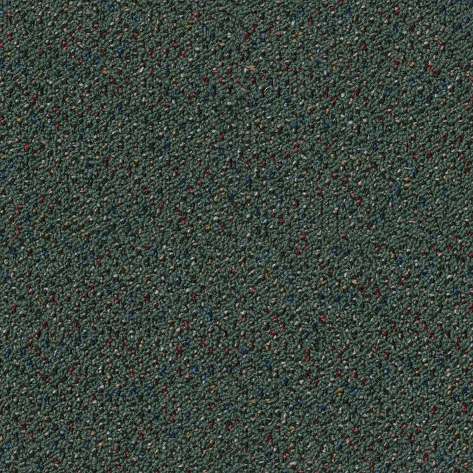 Loop Nutritious Gray Carpet