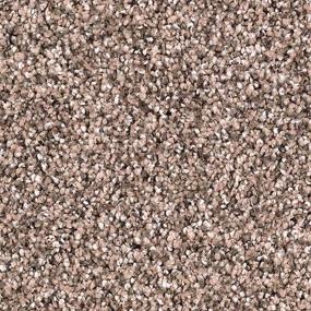 Textured Saxony Hearthstone Brown Carpet
