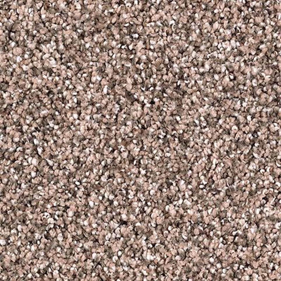 Textured Saxony Hearthstone Brown Carpet