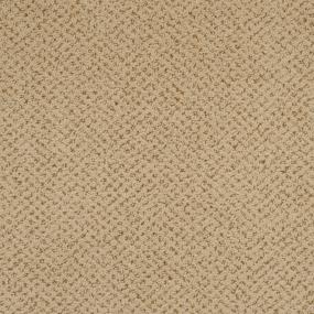 Pattern Narragansett Beige/Tan Carpet