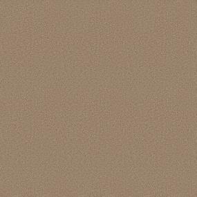 Textured Saxony Stampede Beige/Tan Carpet