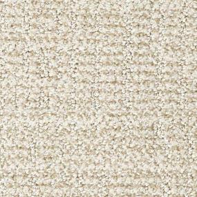 Pattern Camello Beige/Tan Carpet