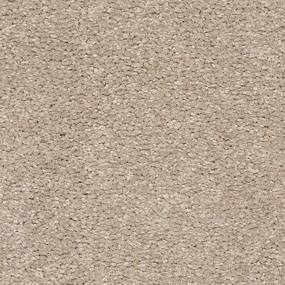 Textured Saxony Sandy Cove Brown Carpet
