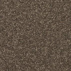 Texture Daffodils Brown Carpet