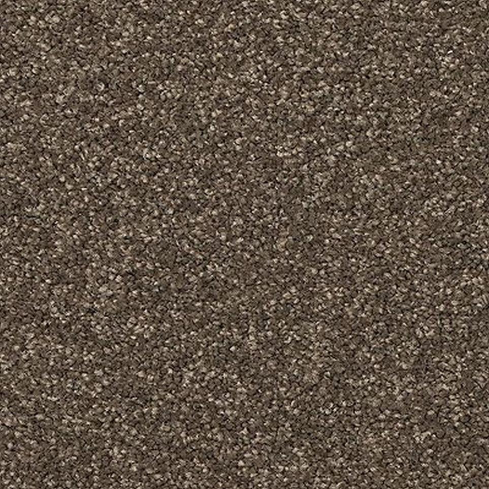 Texture Daffodils Brown Carpet