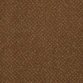 Pattern Beef Broth Brown Carpet