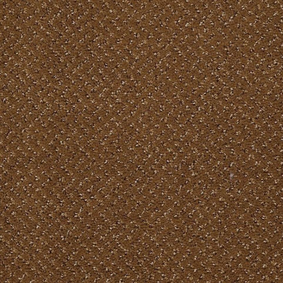 Pattern Beef Broth Brown Carpet