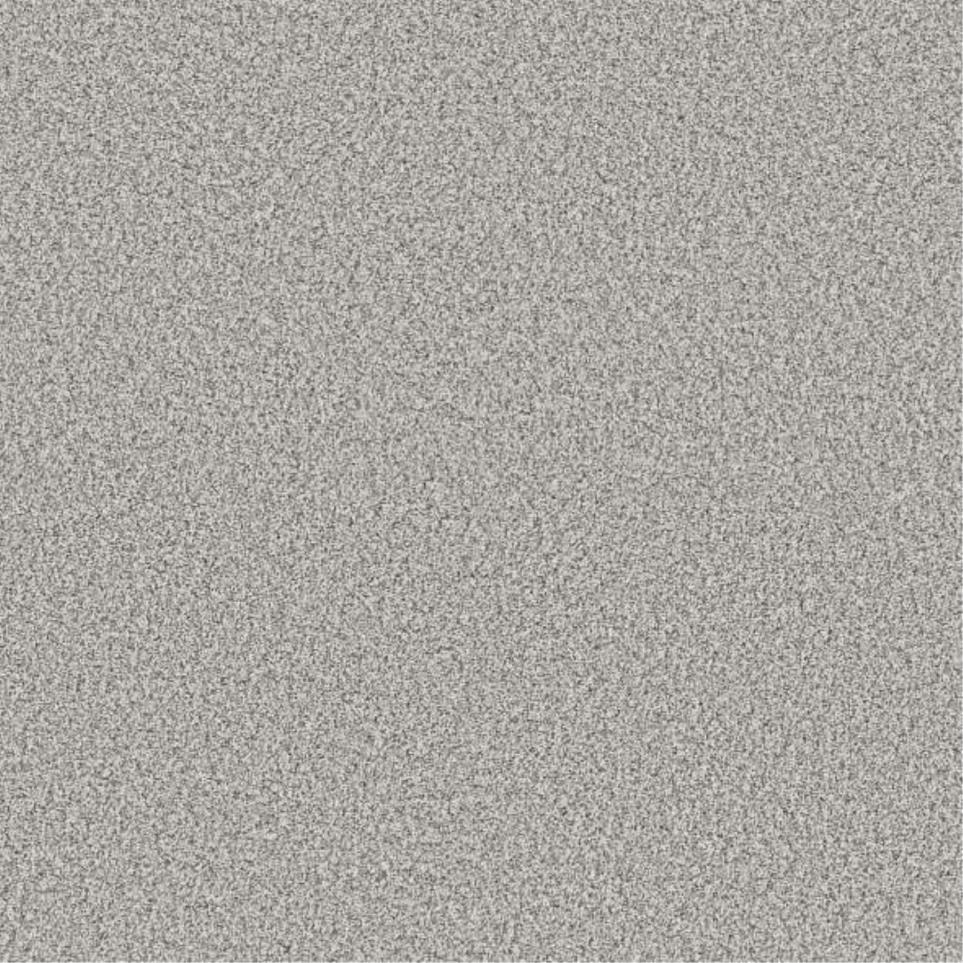 Plush Saxony Whiskers Gray Carpet