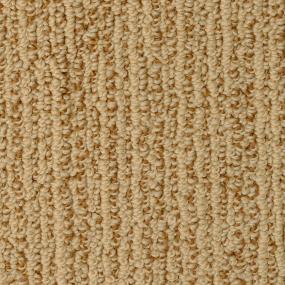 Loop Briarcliff Manor Brown Carpet