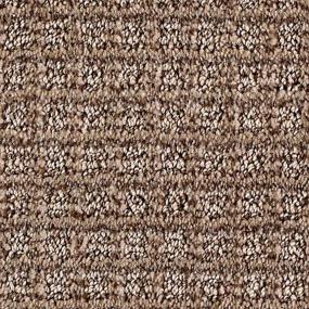 Pattern Tavern Brown Carpet