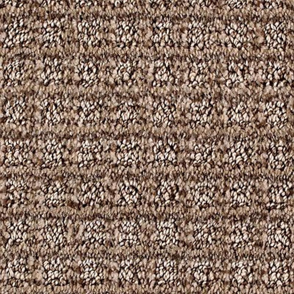 Pattern Tavern Brown Carpet
