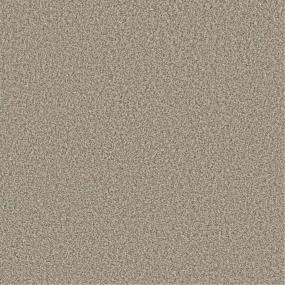 Textured Saxony Misty Mica Beige/Tan Carpet