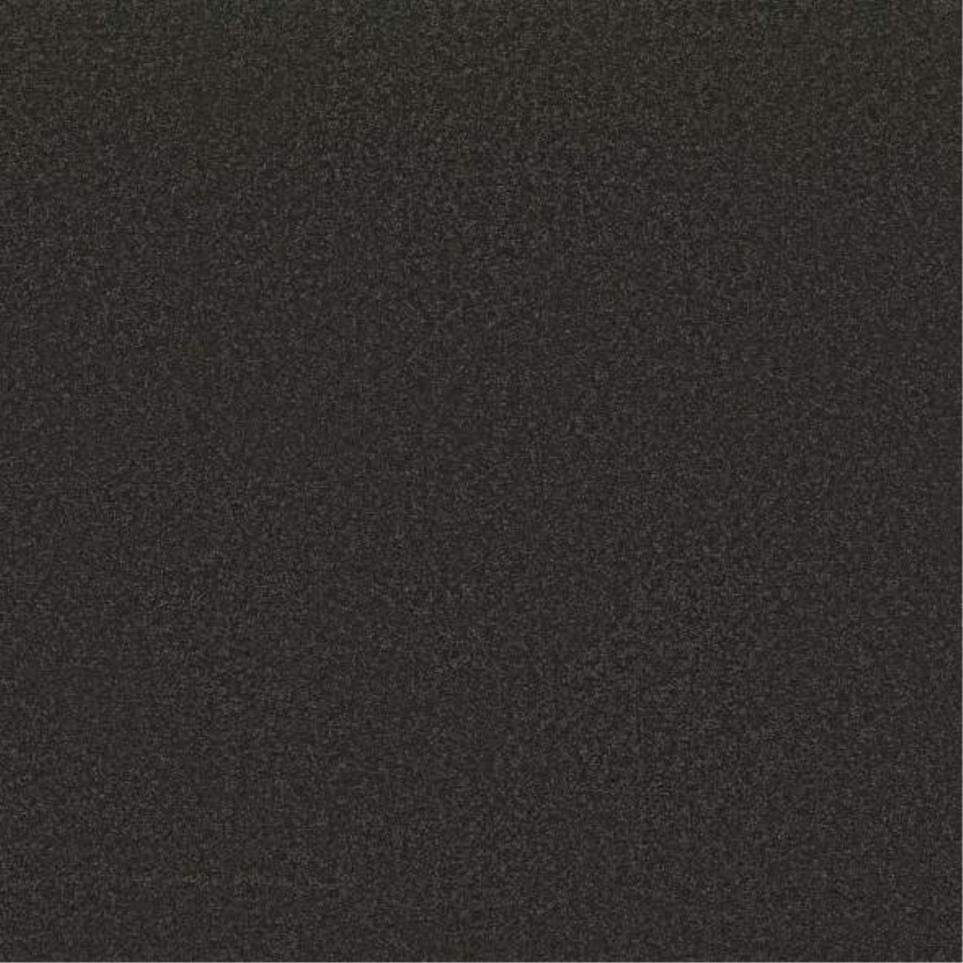 Textured Saxony Nutshell Black Carpet