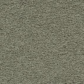 Textured Saxony Rejuvenation Brown Carpet
